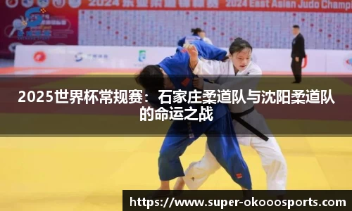 2025世界杯常规赛：石家庄柔道队与沈阳柔道队的命运之战